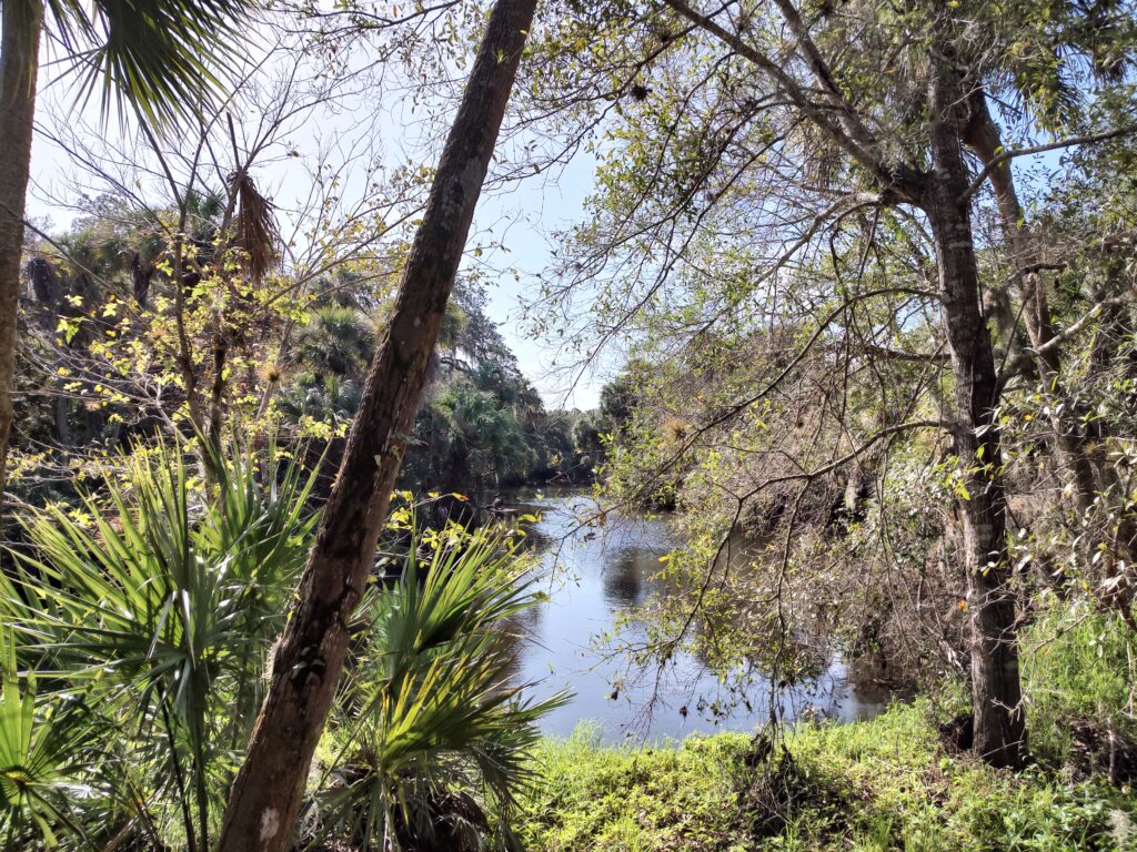 florida hikes in palm bay